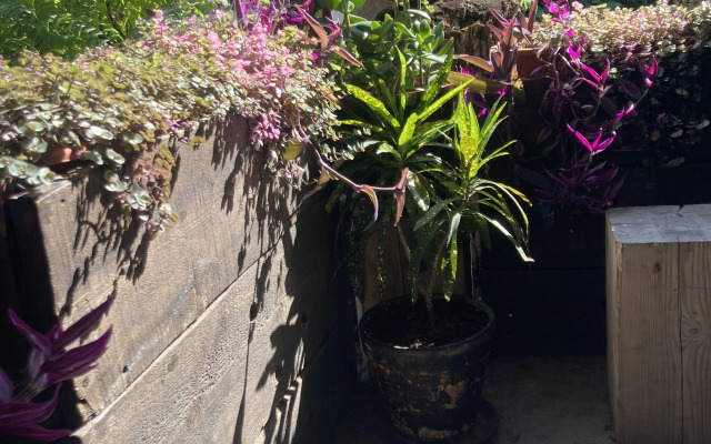 Апартаменты LOFT Холл у Кремля с четырьмя комнатами