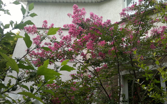 Гостевой Дом Ирина