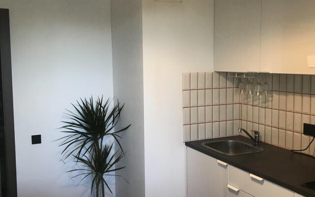 Апартаменты Юнтолово