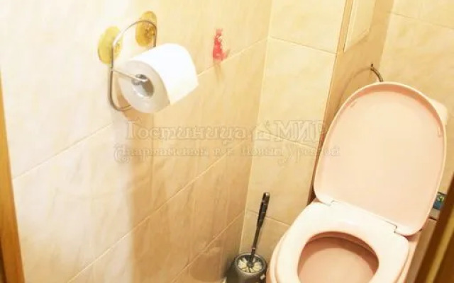 Апартаменты «МИР» ул. Молодежная, д. 9А 1