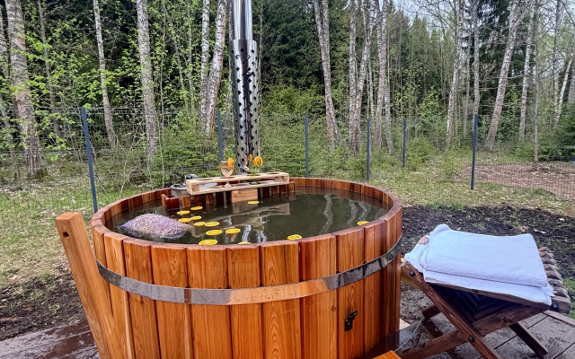 S Kaminom I Potryasayuschim Vidom Na Les Private house