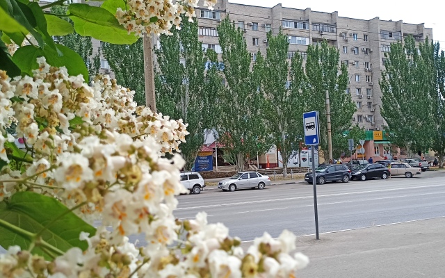 Uyutnye apartamenty 75 Apartments