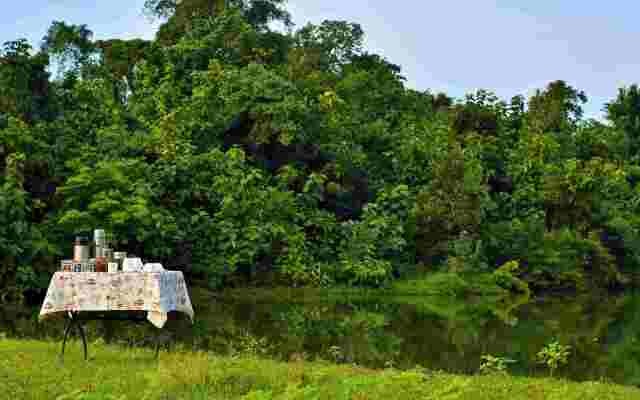 Pugdundee Safaris- Pench tree Lodging house