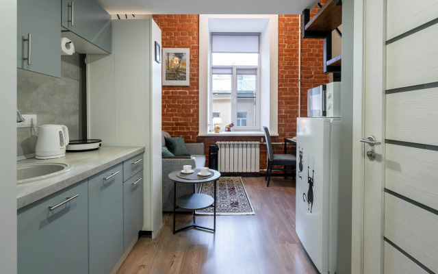 Studiya V Tsentre Peterburga Flat