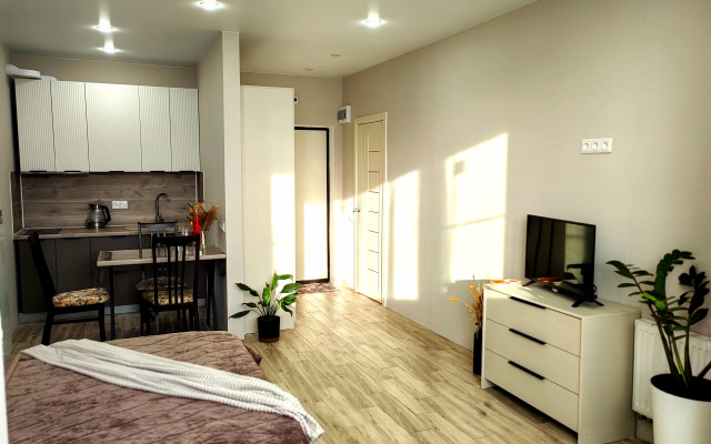 Квартира Уютная Студия