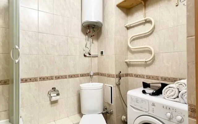Studiya Gosti Doma u metro Pionerskaya Flat