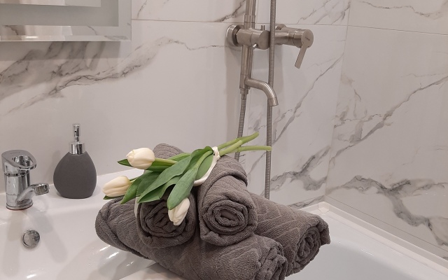 DeNewHome Premier seti v serdtse Voronezha Apartments
