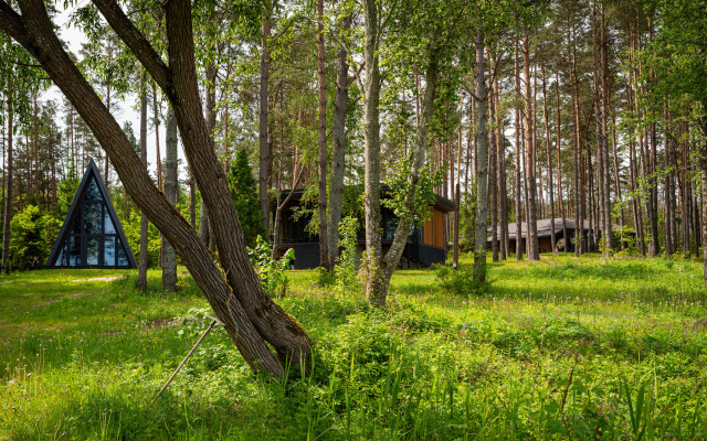 Глэмпинг отель МЕСТО