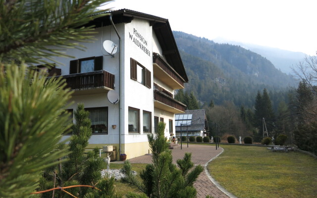 Pension Waldkrieber Mini-Hotel