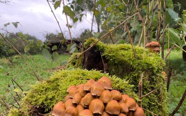 Изба Пасечника Пятиместная Хутор Медовый