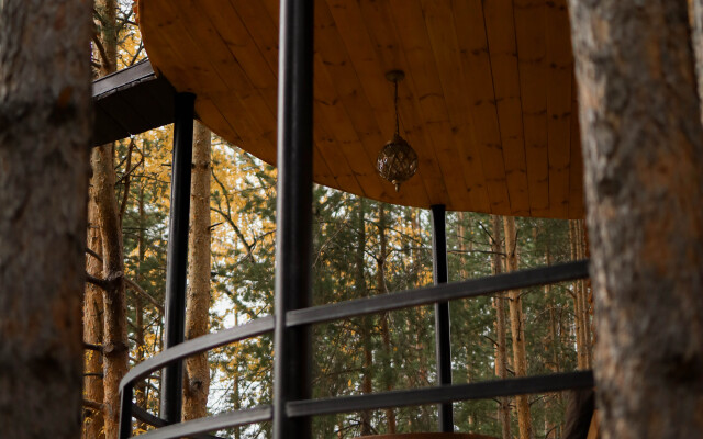 Отель Сорока