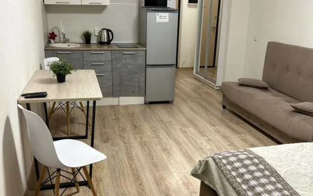 Dream House U Aeroporta Apartments