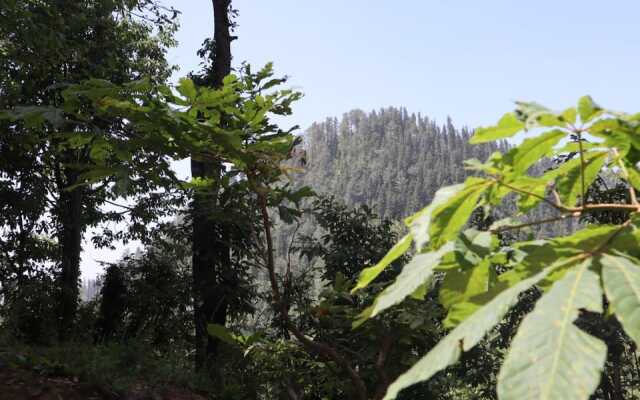 Вилла Camp on Beautiful Toddy Pond