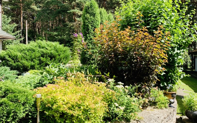 Forest Green Guest House
