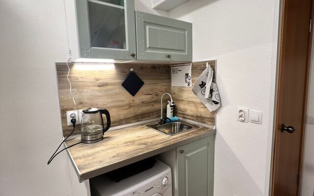 Квартира 1 на Васильевском