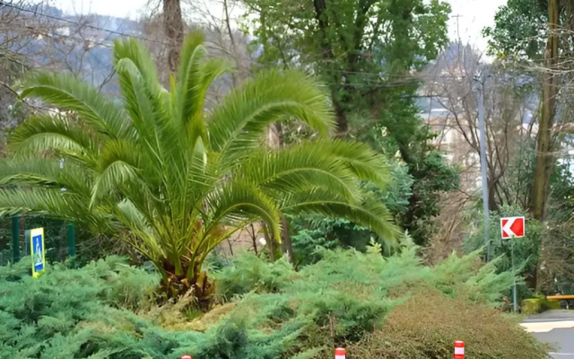 Апартаменты Горка Рент Апарт