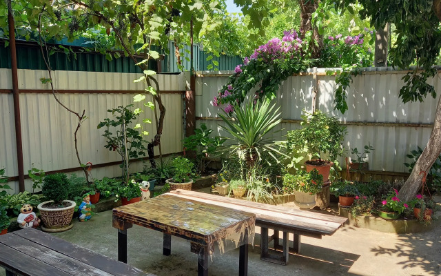Mari Guest house