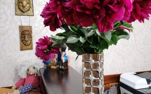 Отель на Звездинской