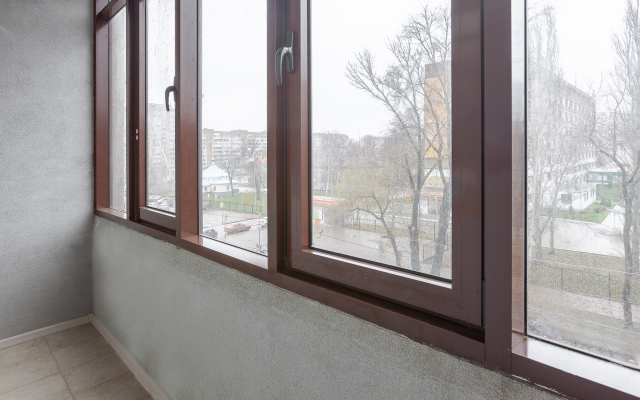 Апартаменты Пушкин Центр города