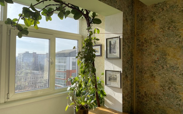 Апартаменты На Старо-Прегольской Набережной 14