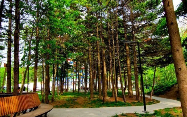 Апартаменты в городе Владивосток