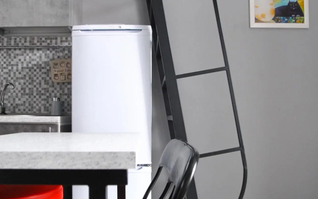 Квартира студия с видом на канал Грибоедова