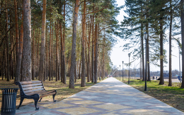 Квартира Лесная поляна