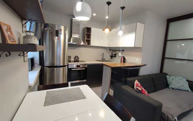 Апартаменты Пушкинская 52