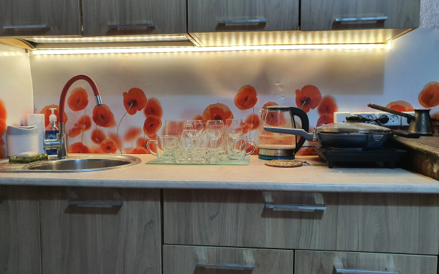 V Starinnom Osobnyake  voskresenskaya - Pamyatnik Provintsialnogo Klassitsizma Flat