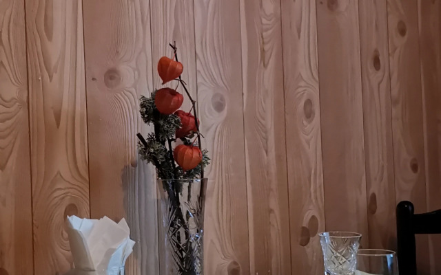 Квартира со Скрипкой