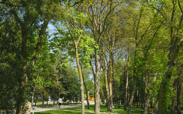 Rodnik Resort
