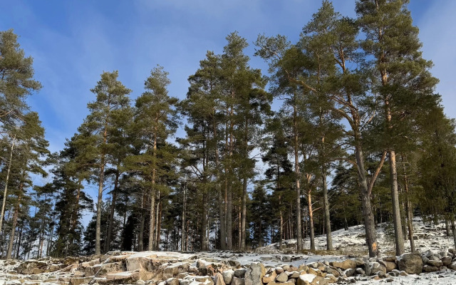 Частный дом Домики Ихоярви на озере (дом 4)