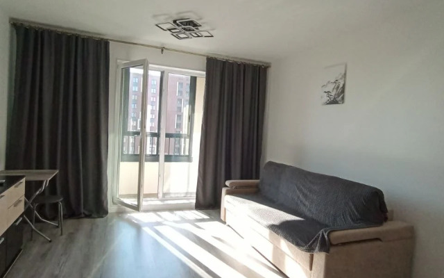 Studiya Pervaya Na Neve V Gorode Pervykh Flat