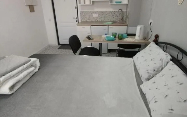 Studiya Na Mikrorayone Beryozovy 148 Flat