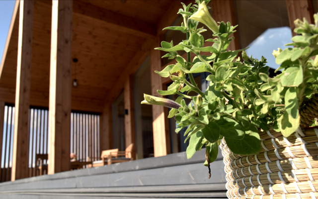 Dacha Beketovo Guest house