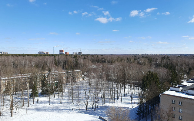 Квартира Классическая