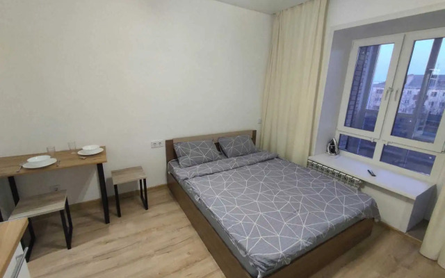 Апартаменты SeveRent на Торцева 65 114