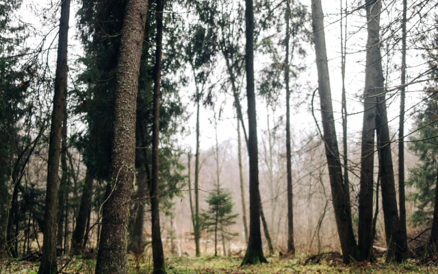 Частный Дом Модульный домик в лесу на Живописной улице