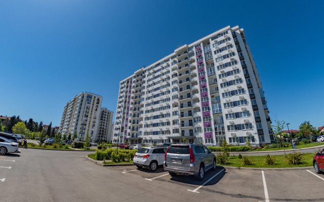 Zhk Frukty Chernika 8182 Flat