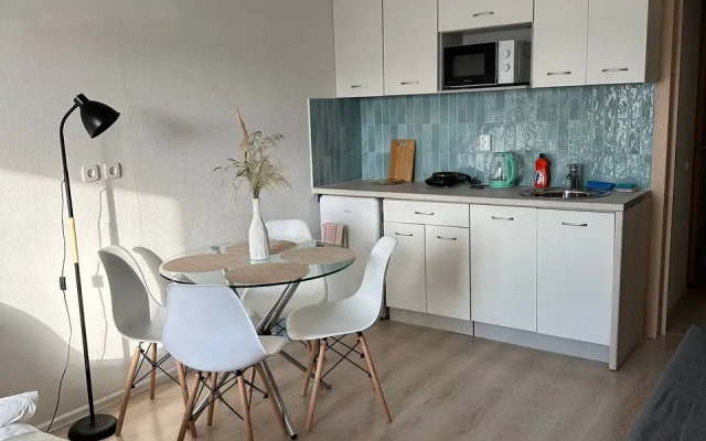 Квартира в центре Пионерского посёлка