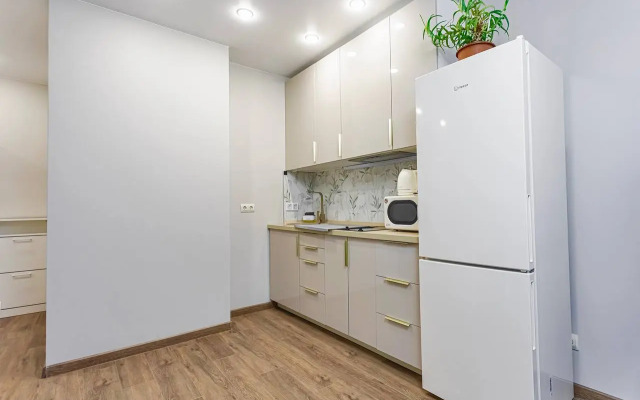 Апартаменты на Полковника Фесюна 20