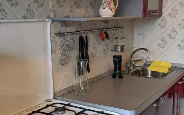 Odnokomnatnaya Kvartira U Metro Akademicheskaya Flat