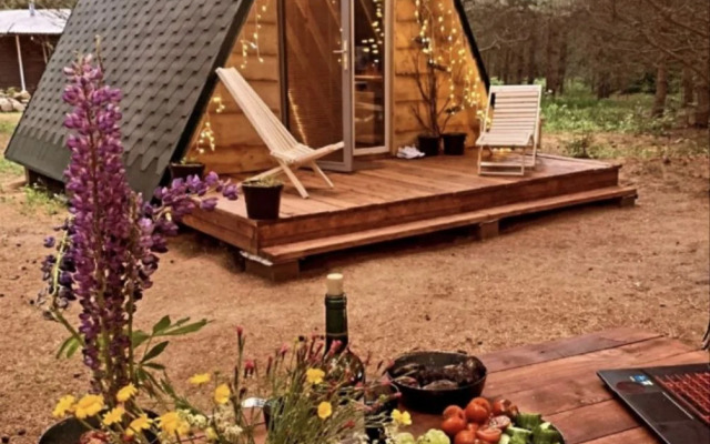 Шале неДача