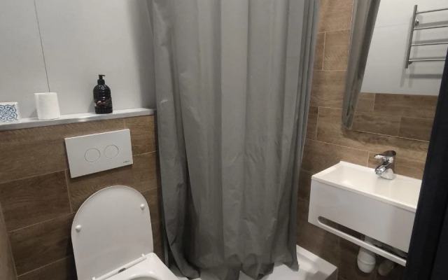 Апартаменты Уютная студия Пушкинской