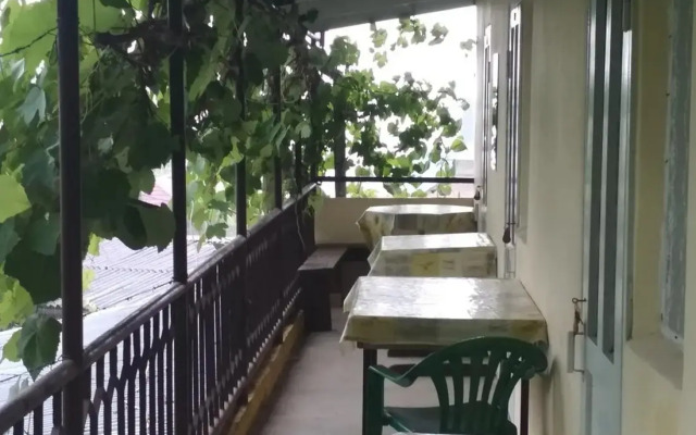 Pod Palmoy Guest House