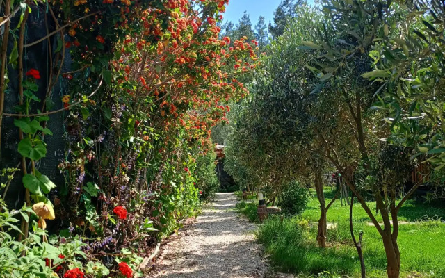 Riviera Bungalow Evleri Demre Private house