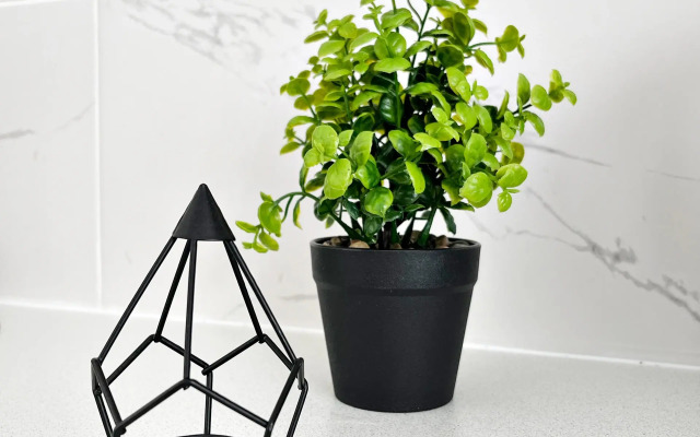 Апартаменты Династия