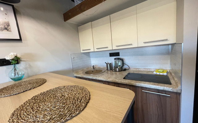 ZenApart Visokiy Loft № 2 Apartments
