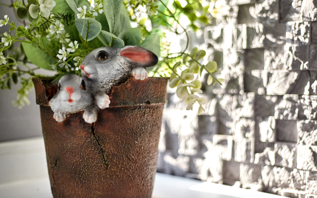 Апартаменты Новые Однокомнатные на Командорской