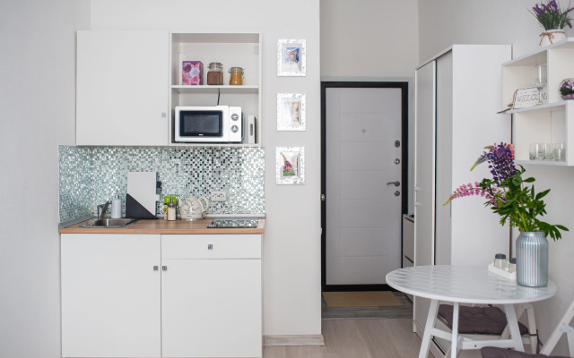 Квартира Студия у Смольного